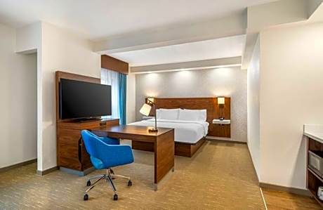 1 King Mobility/Hearing Acc Ri Shower Nosmok