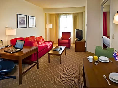 Suite, 1 Bedroom (1 Queen Bed and 1 Double Sofa Bed)