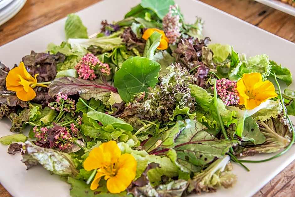 Three Tree Hill Lodge