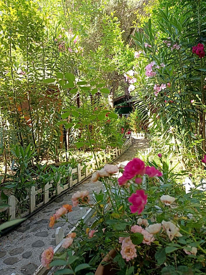 Canario Bungalows
