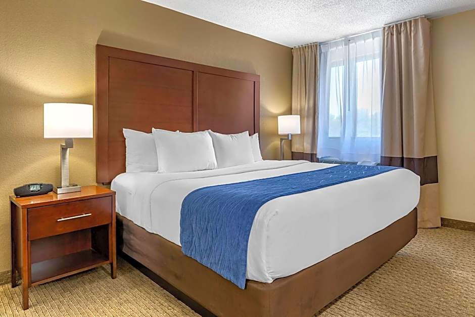 Comfort Inn Near Greenfield Village