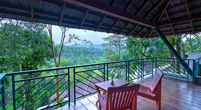 Forest Canopy Resort