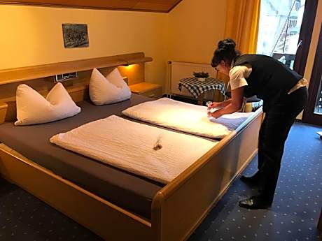 Single Room with Mountain View