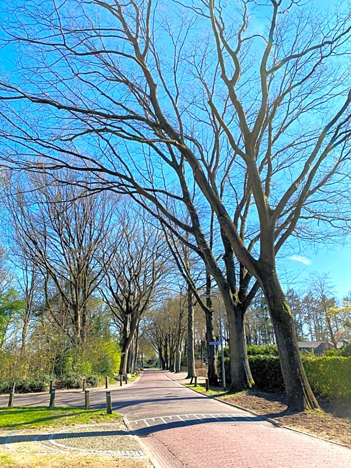 Holtingerhuys Uffelte- Giethoorn!