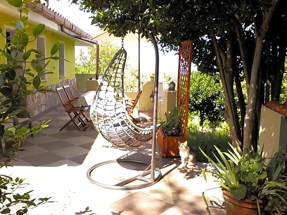 B&B Meladormo