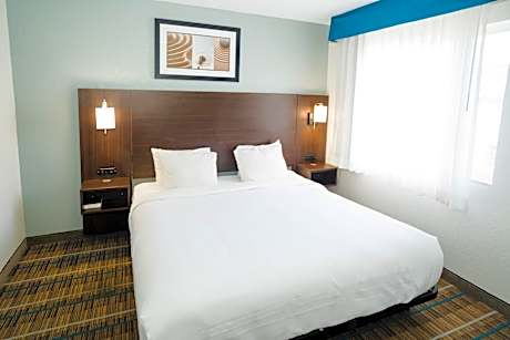 1 King Bed Suite Nonsmoking Accessible
