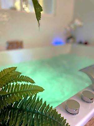 LOVER'S ROOM TROPIC