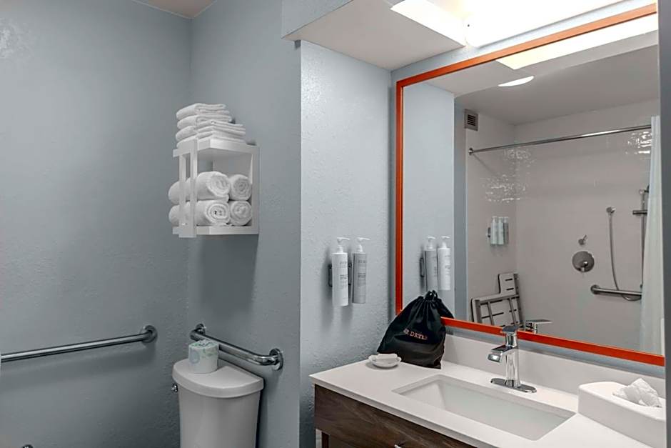 Hampton Inn By Hilton Sarasota - I-75 Bee Ridge