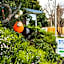BIG4 Tassie Getaway Parks St Helens