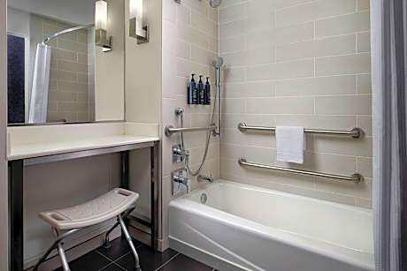 Suite, 1 Bedroom (1 King Bed)