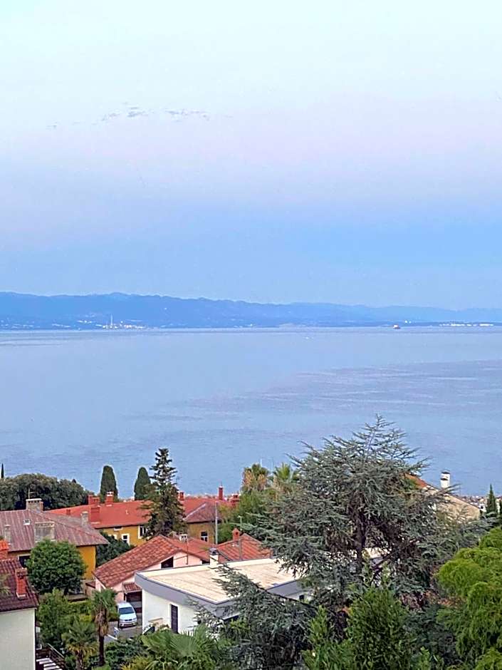 Villa Salyna