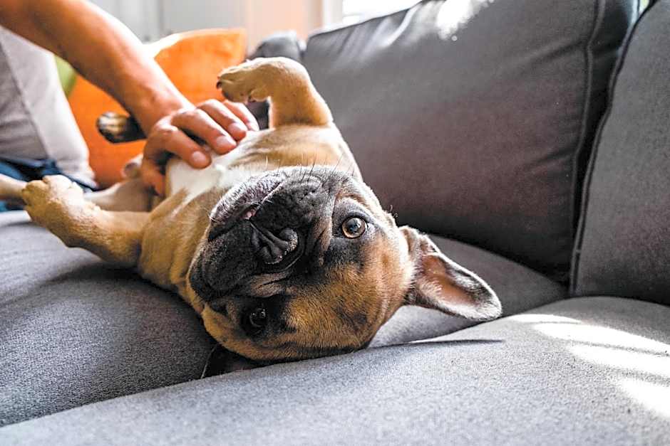 HOLIDAY INN EXPRESS & SUITES FREDERICTON By IHG