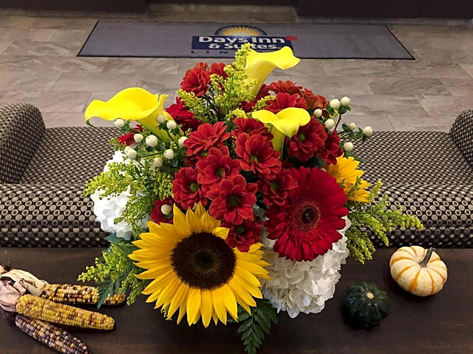 Days Inn & Suites by Wyndham Lindsay