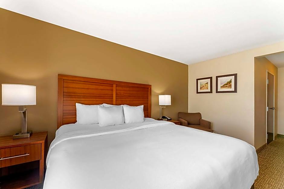 Photo 1 of 7 of 1 King Bed Suite
