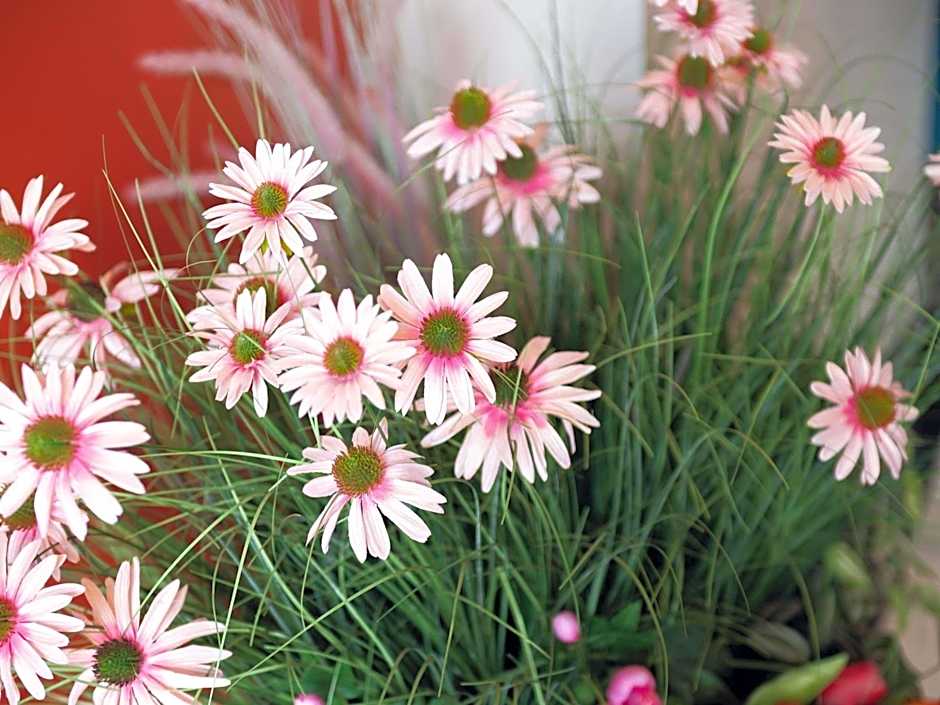 Ibis Styles Paris Batignolles