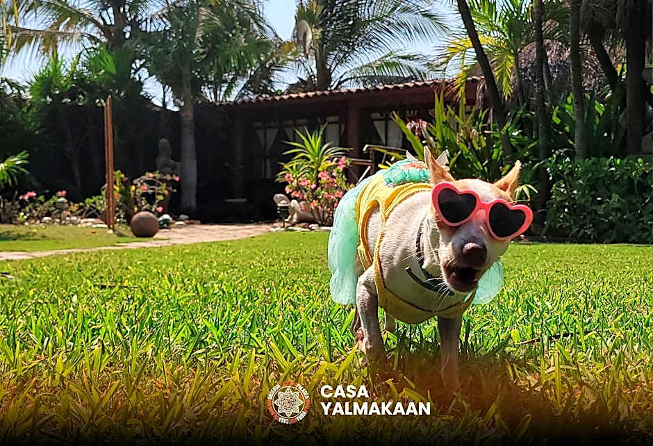 Casa Yalma Kaan Acapulco Hotel - Solo Adultos