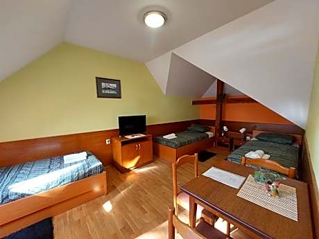 Triple Room with Private Bathroom