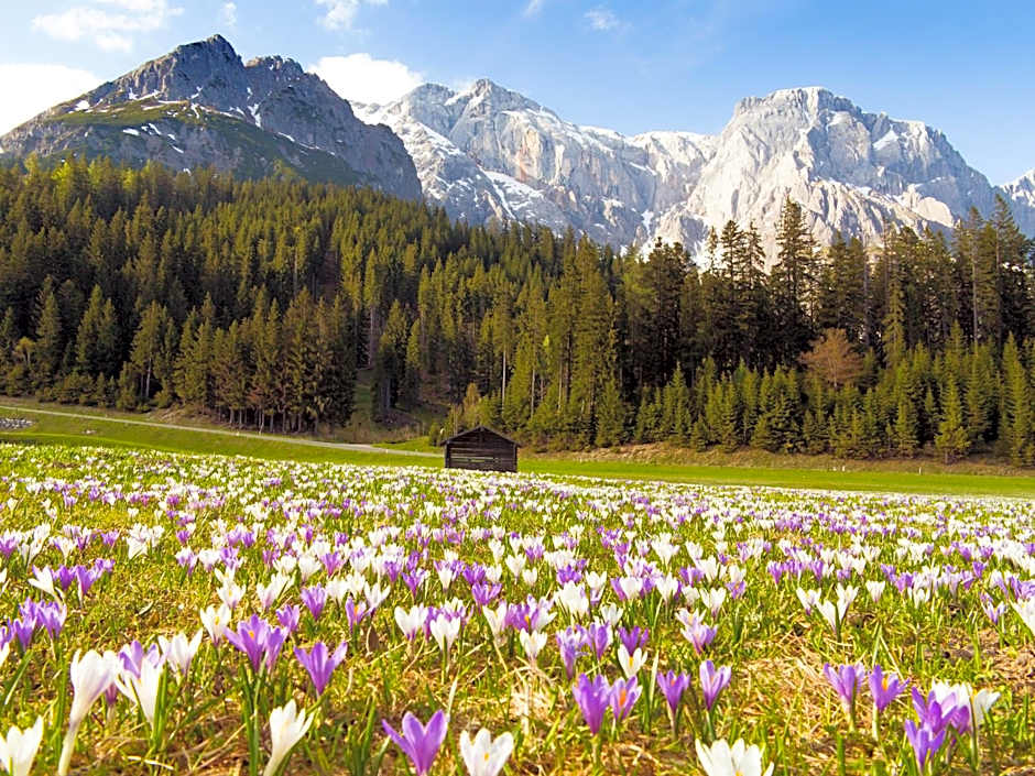 House of Hütter - Wachtelhof & SPA