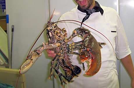 Ai Campi Di Marcello Hotel