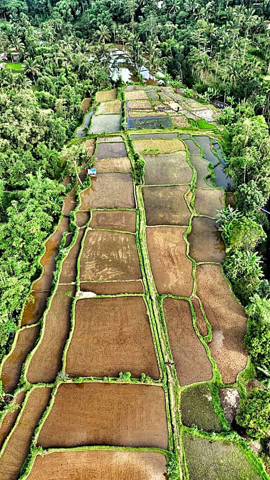 The Alam Bungalow & Restaurant