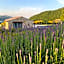 Amico Country House