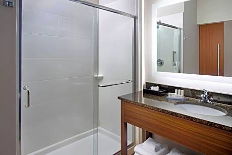 Suite, 1 King Bed with Sofa bed (Hearing Accessible) (1 King Bed and 1 Double Sofa Bed)
