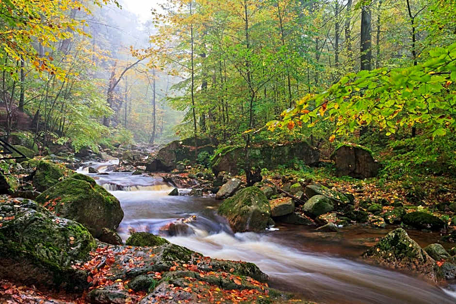 Altstadthotel Ilsenburg