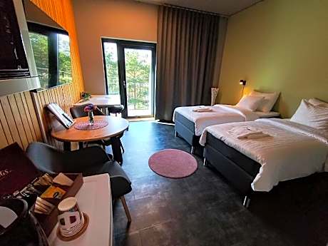 Business Twin Room