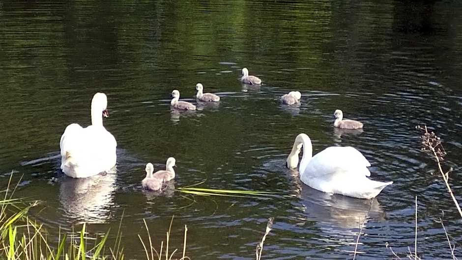 Cameley Lodge - Self Catering