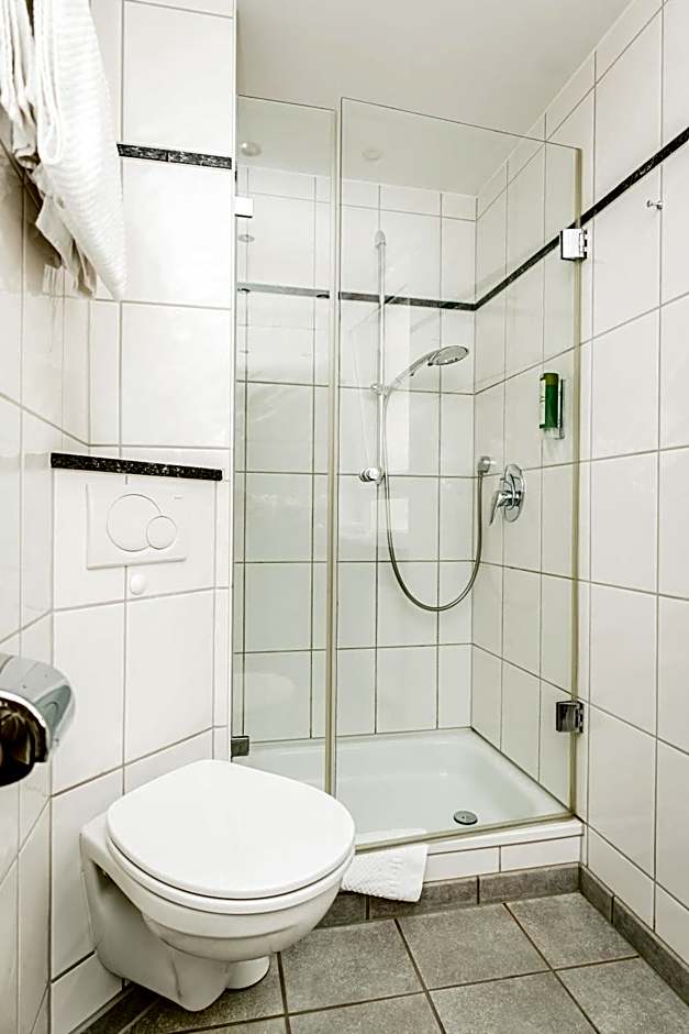 Baudobriga Rheinhotel