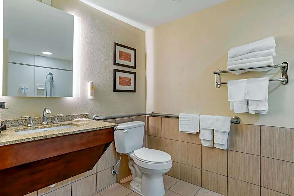 Comfort Inn Opelika - Auburn