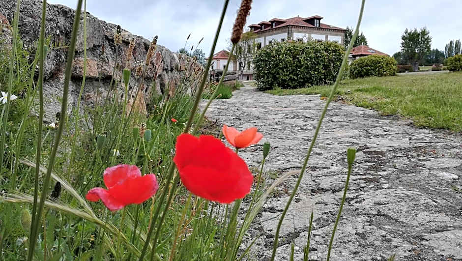 Izan Puerta de Gredos