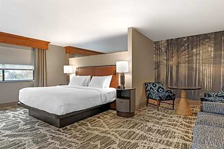 King Suite with Two Sofa Beds - Non-Smoking