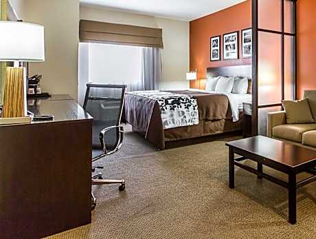 1 King Bed, Suite, Nonsmoking