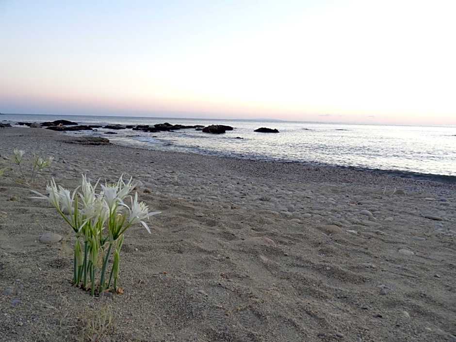 Thalassa House Apartments