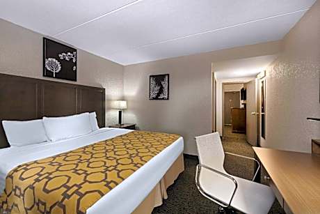 One-Bedroom King Suite - Non-Smoking