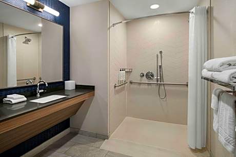 One-Bedroom King Suite with Bathtub and Sofa Bed - Mobility Access/Hearing Accessible