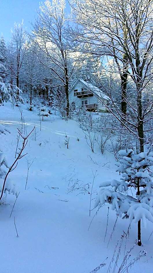 Șoaptele pădurii & Căsuța din pădure
