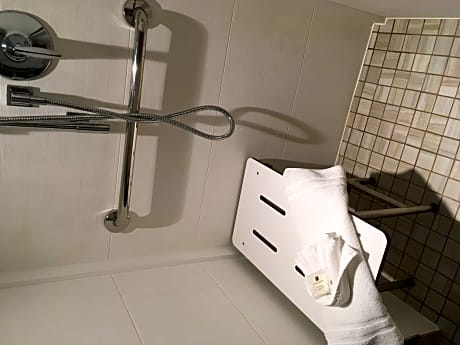 1 Queen Standard Communication Accessible Roll Shower