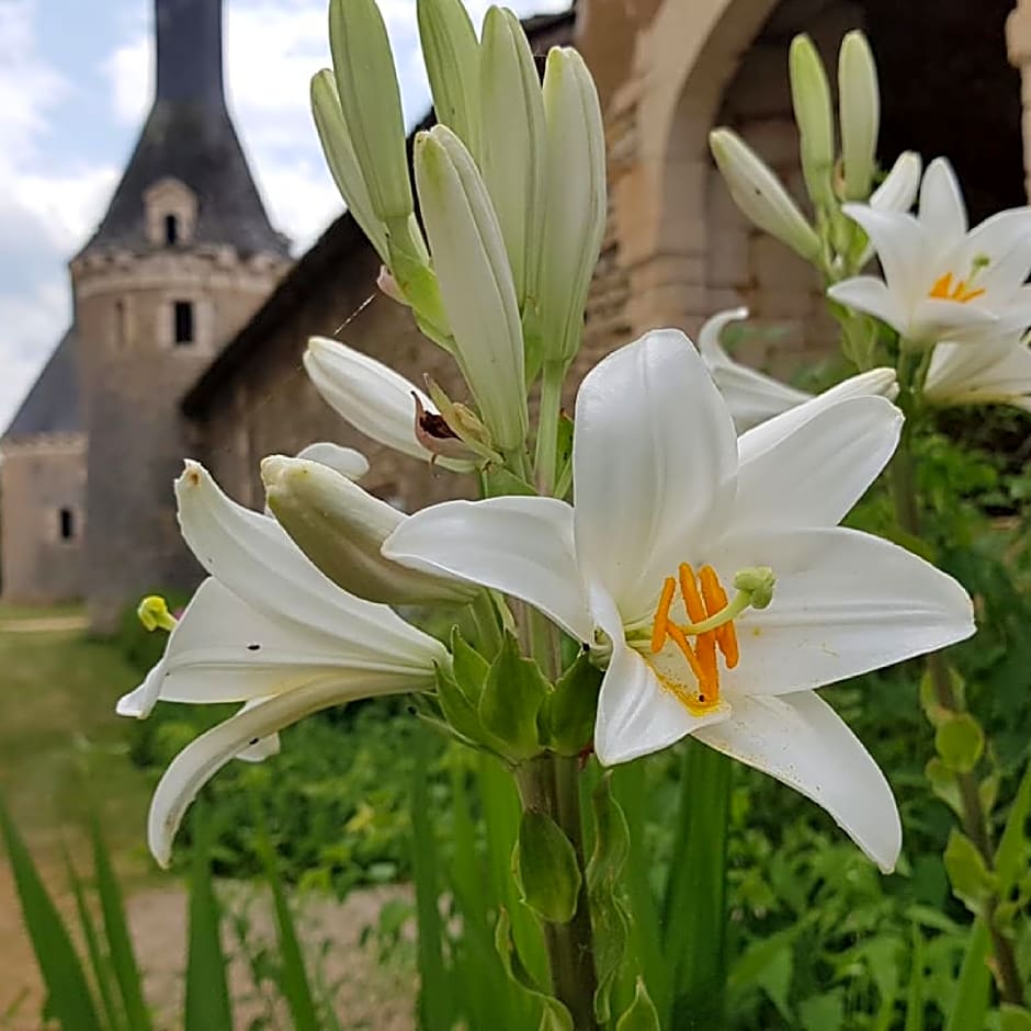 Le Logis de la Pataudière