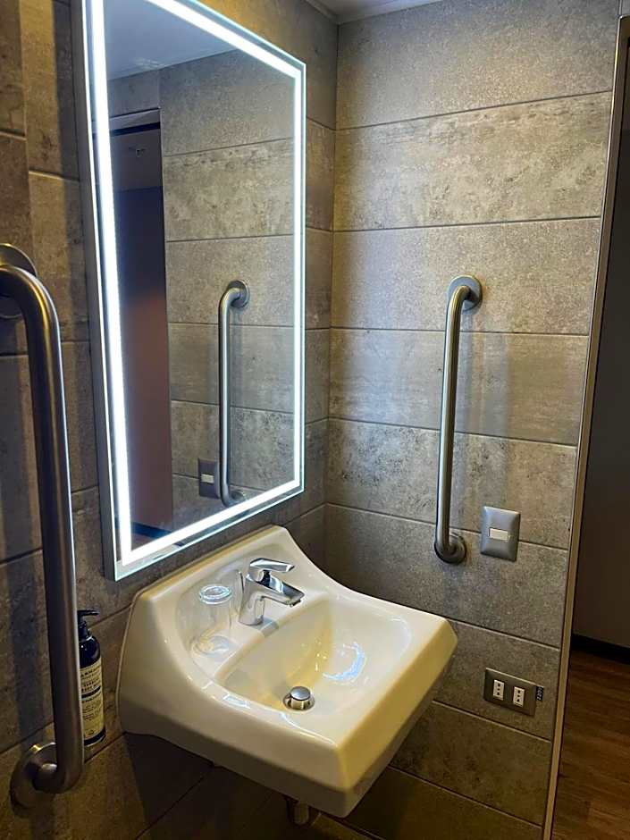 Novotel Santiago Providencia