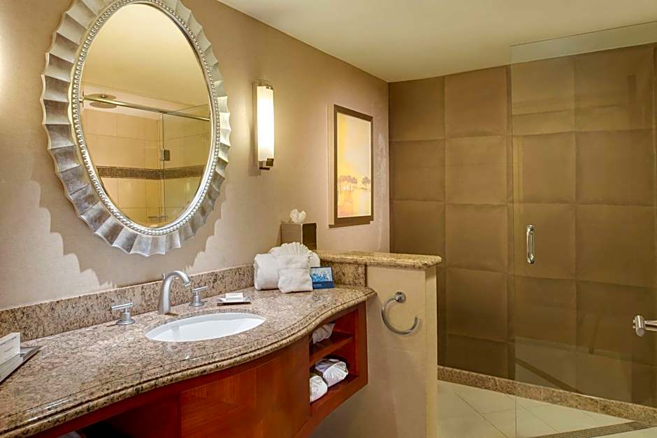 Hilton Washington Dulles Airport
