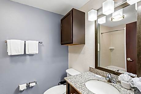 Suite with 1 King Bed and Kitchen