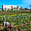 Masseria Borgo Segine - Relais nel Salento