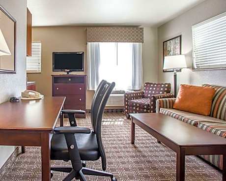 1 Queen Bed, Business Room, Efficiency, Suite, Nonsmoking, Upgrade