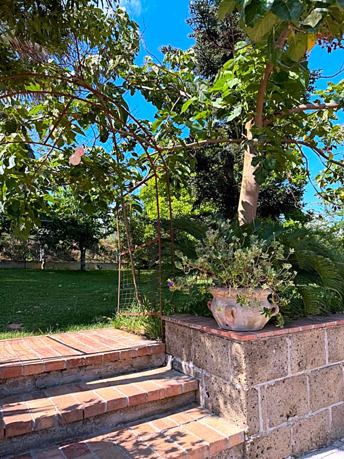 A Casa di nonna Emilia