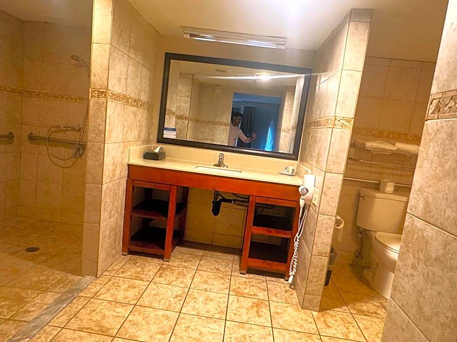 Comfort Inn Salt Lake City Downtown