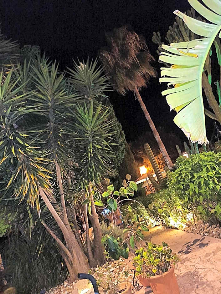 Palacio Sant Salvador