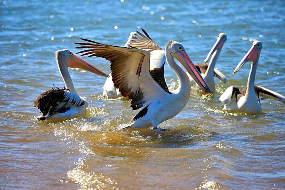 Alva Beach Tourist Park