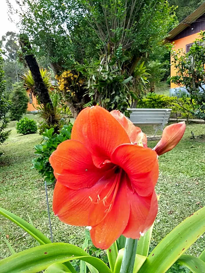 Pousada Pedra da Gávea